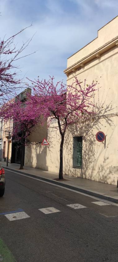 Maestre.hathor en Hamelin: Paisaje  (Badalona), Luces y sombras 