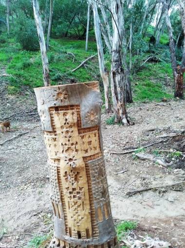 Yob93 en Hamelin: Paisaje  (Málaga), #arboles #bosque #tronco #malaga
