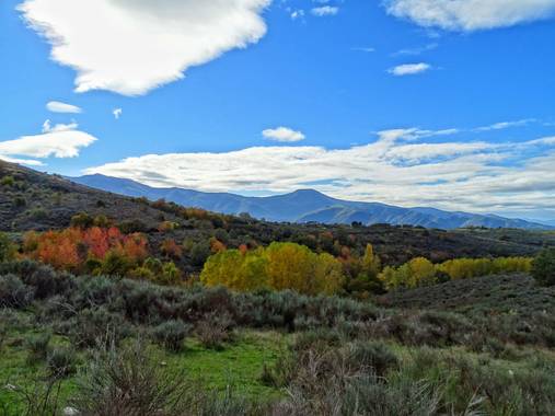 Mivilor68 en Hamelin: Paisaje  (Ponferrada), Paisaje otoñal
#otoño 