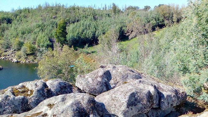 David en Hamelin: Paisaje  (As Neves), #paisajes