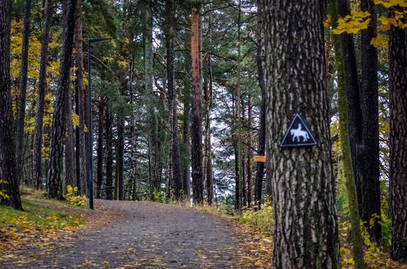 juanielvira en Hamelin: Paisaje, #parquesyjardines #parques #bosque #otoño20 #oslo #noruega #ekebergparken 