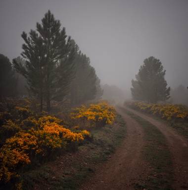 Luisleonrodriguez en Hamelin: Paisaje  (Pomer), #paisaje#Niebla