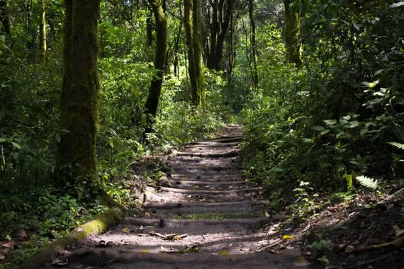 Jlazarte84 en Hamelin: Paisaje, #parquesyjardines 