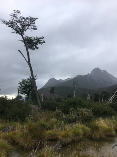 misteraugusto66 en Hamelin: Paisaje  (Ushuaia), Ushuaia 