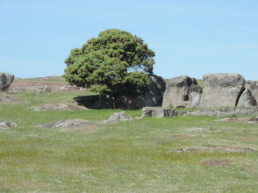 Info en Hamelin: Paisaje, El Mosquin, nuevo proyecto rural con permiso de algún que otro impedimento 