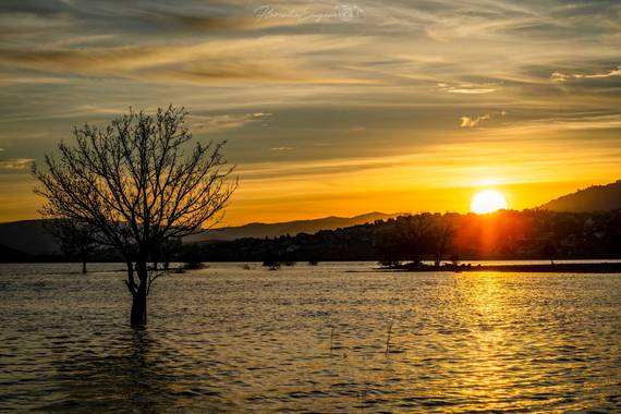Florentinoeugenio en Hamelin: Paisaje  (Manzanares el Real), #atardecer 