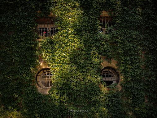 Phototero  en Hamelin: Paisaje  (Madrid), #cumplehamelin #naturaleza 