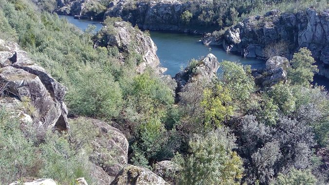 David en Hamelin: Paisaje  (As Neves), #paisaje