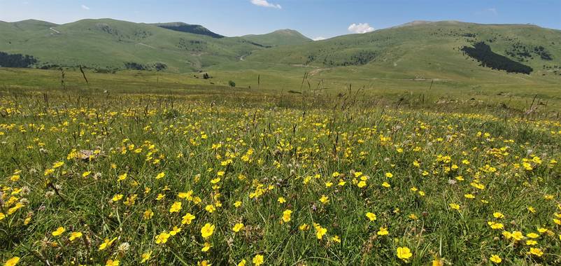 AndreaTorres en Hamelin: Paisaje  (Toses), #parquesyjardines 