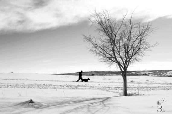 Conbyconv en Hamelin: Paisaje  (Fuenlabrada), #paisaje20 #invierno20
