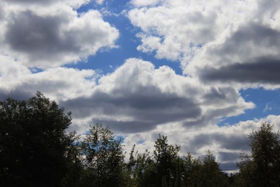 XxPrOzMeNxX en Hamelin: Paisaje, #arboles #azul #bäume #blanco #blau #bluesky #blue #cielo #clouds #day #dia #fotografia #fotografie #grün #green #natur #...