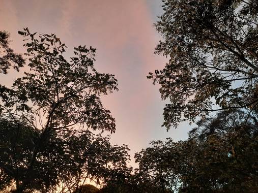 Yanne Ibarra en Hamelin: Paisaje  (San Bernardo), #atardecer #arboles 