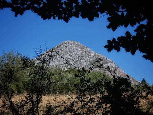 mariale en Hamelin: Paisaje, “Una vez tomas una decisión, el Universo conspira para hacer que suceda.” Ralph Waldo Emerson

📸 #marialemdza
💚 💚 💚
#Natu...