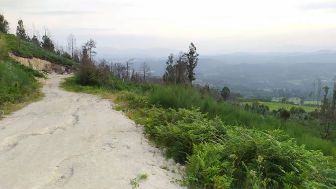 David en Hamelin: Paisaje  (As Neves), #paisaje
