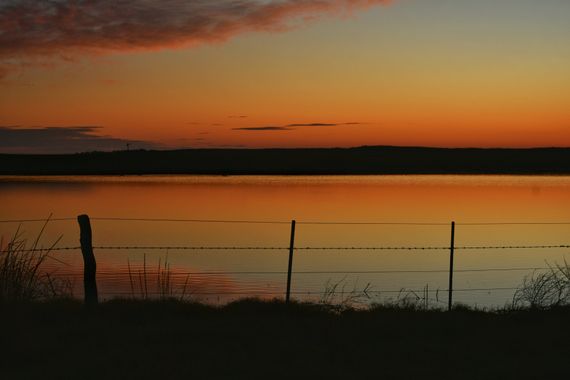 paotoellner en Hamelin: Paisaje, #atardecer #campo #landscape #argentina #sunset 
