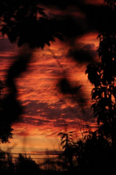 XxPrOzMeNxX en Hamelin: Paisaje, #arboles #atardecer #bäume #black #celeste #cielo #clouds #colores #colours #farben #fotografia #fotografie #himmel #nara...