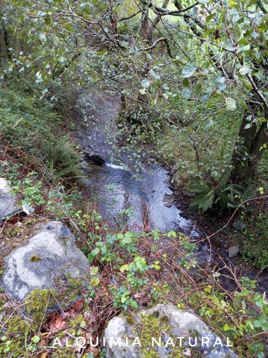 Alquimia Natural en Hamelin: Paisaje  (Galdames), #otoño2022 #noviembre2022 