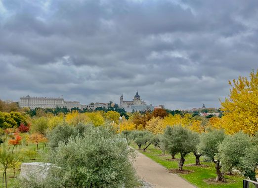 vanerita en Hamelin: Paisaje  (Madrid), Palacio real de madrid desde el
Mirador de la huerta 