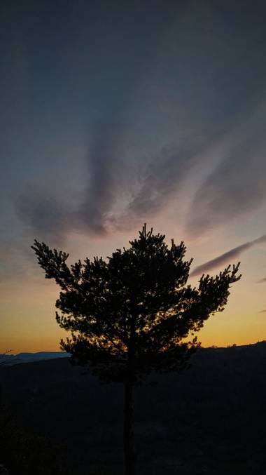 Alfonso Fernández en Hamelin: Paisaje  (Ochagavía), El pino descansa sobre el ocaso adornado por efímeras nubes que actúan como el humo de la chimenea del ...