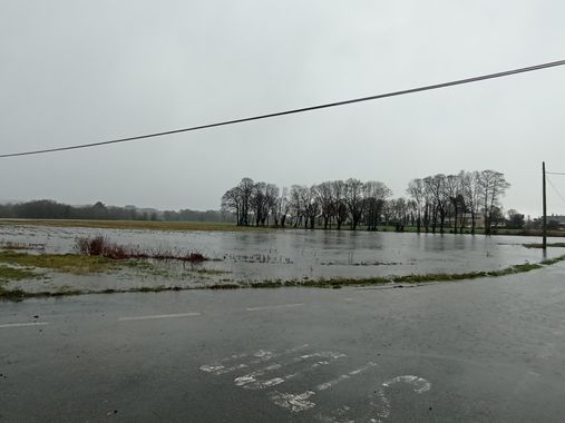 Susandresro en Hamelin: Paisaje  (Cospeito), Inundación Cospeito 