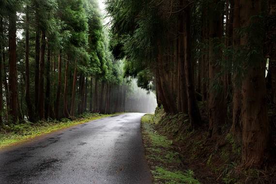 Raquel Galo en Hamelin: Paisaje  (Ponta Delgada), La isla más grande de las Azores, São Miguel.
Pasear por cualquiera de sus rincones te transporta por cam...