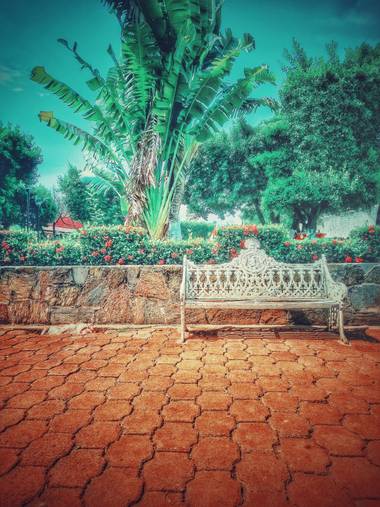 Logancentauro en Hamelin: Paisaje  (Centro), Una tarde en el Jardín

#jardines #parque #parques #paisaje #paisaje20 #paisaje2020 