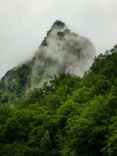Noe en Hamelin: Paisaje  (Sobrescobio), #landscape #picoftheday #landscapephotography #flog #forest #niebla #mountains #mountainslovers #nature #naturelove...