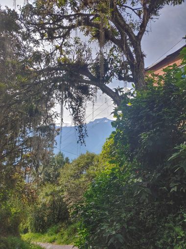 Jesuslobo1000 en Hamelin: Paisaje  (Libertador), #montaña #escondida #arboles 