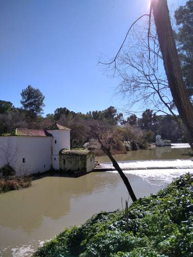 Msdh1981 en Hamelin: Paisaje  (Alcalá de Guadaíra), Río Guadaíra. Parque Oromana. 
Alcalá de Guadaíra, Sevilla. 
#río #molino #Parque #AlcaláDeGuadaíra 