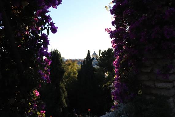 Rbk_rubix en Hamelin: Paisaje  (Málaga), #paisajes #flora #concurso #invierno20 #paisaje #flor