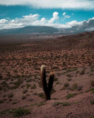 Pikeriel en Hamelin: Paisaje, #cactus #desert #sky #argentina 