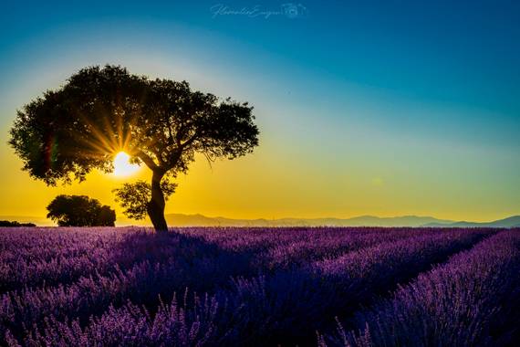 Florentinoeugenio en Hamelin: Paisaje  (Brihuega), #atardecerbrihuega