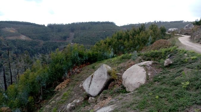 David en Hamelin: Paisaje  (Ponteareas), #paisaje