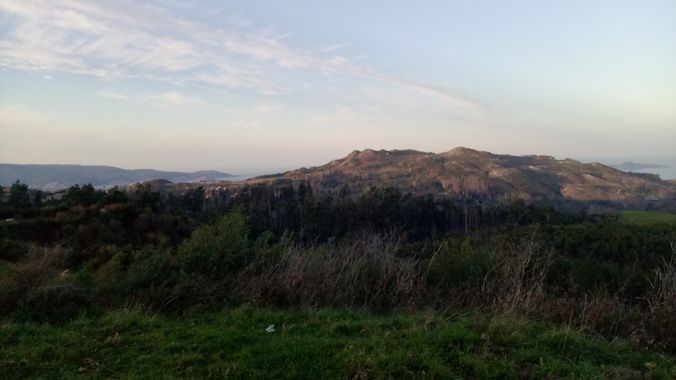 David en Hamelin: Paisaje  (Vigo), #vigo #paisaje #galicia #verde