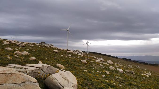 David en Hamelin: Paisaje  (A Cañiza), #Paisajes