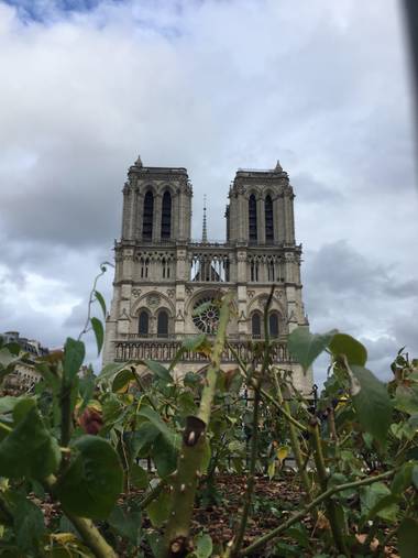 rafaelobregondorantes en Hamelin: Paisaje  (Paris), Notre dame. 