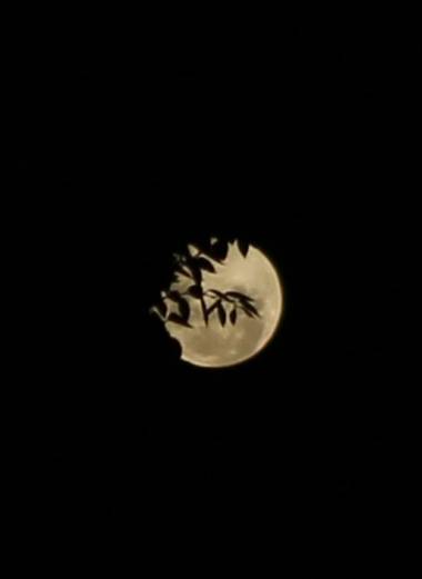 cimadevilla.amaia en Hamelin: Paisaje, #luna #paisaje #noche