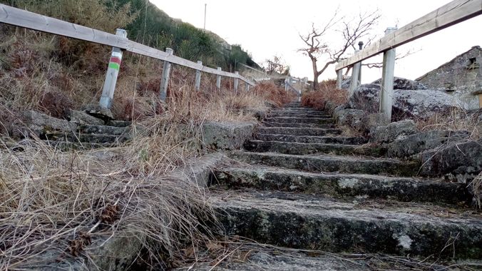 David en Hamelin: Paisaje  (Vigo), #vigo