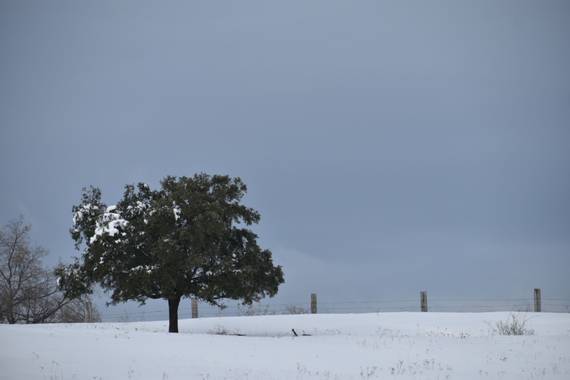 Belenhernandezg en Hamelin: Paisaje  (Soto del Real), #invierno20