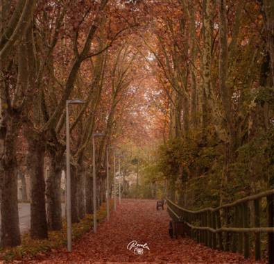 Rosalia2660 en Hamelin: Paisaje  (Lliçà de Vall), #otoño 
#paseos otoñales 
#