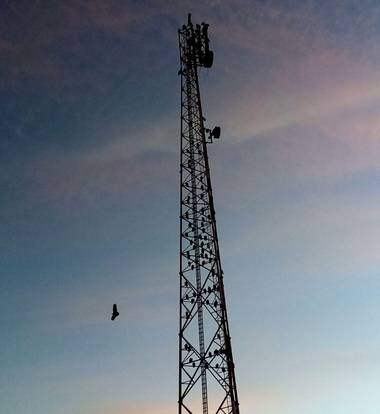 Navarroarevalomariateresa en Hamelin: Paisaje  (Viesca), Hermosa tarde donde las aves buscan donde pasar la noche.