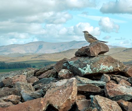 Jed90 en Hamelin: Paisaje, #sierradelaventana 