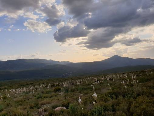 S.- en Hamelin: Paisaje  (Quero), El #paisaje #arrebatador

#LaSierra #HermosaComoEllaSola

#ASusPies #UnMar de #gamoncillos

#Y en #ElCielo #MisAmadas #Nu...