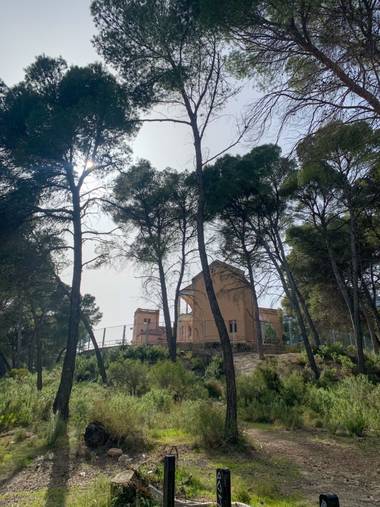 carogv1995 en Hamelin: Paisaje  (Alhama de Murcia), #sierraespuñaviva #sanatorio #naturaleza #flora21 