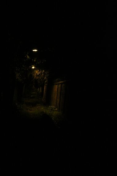 XxPrOzMeNxX en Hamelin: Paisaje, #abend #arboles #bäume #camino #darkness #dunkelheit #evening #gras #grass #light #luces  #noche #oscuridad #pared #pasto...