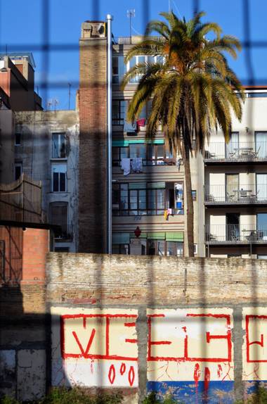 Azulmarino  en Hamelin: Paisaje  (Barcelona), Acorralada #palmera #mediterraneo #edificaciones