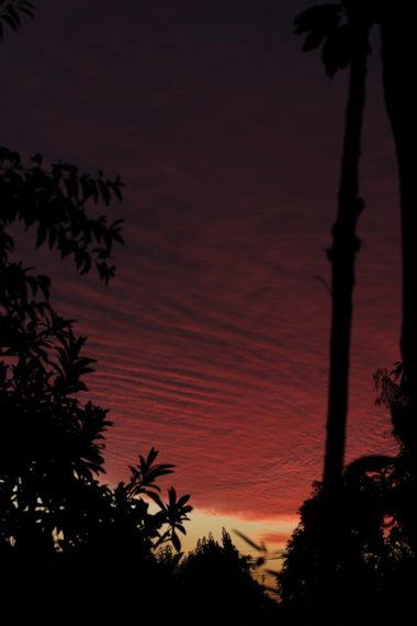 XxPrOzMeNxX en Hamelin: Paisaje, #arboles #atardecer #bäume #black #celeste #cielo #clouds #fotografia #fotografie #himmel #natur #naturaleza #nature #neg...
