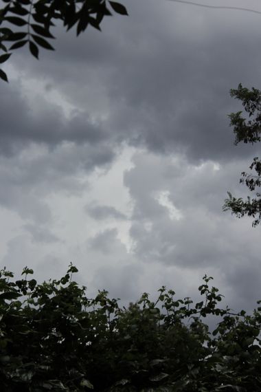 XxPrOzMeNxX en Hamelin: Paisaje, #arboles #bäume #blanco #cielo #cloudy #clouds #color #colors #farben #grün #grau #green #grey #gris #himmel #nubes #nubl...