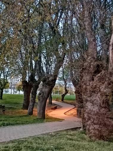 Susandresro en Hamelin: Paisaje  (Lugo), Parque Lugi