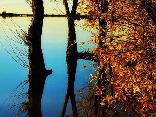 Anitalolasg en Hamelin: Paisaje  (Real Sitio de San Ildefonso), Embalse del Pontón. Segovia